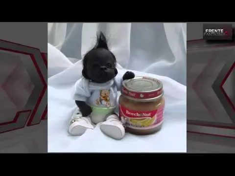 La Historia del Bebe mas negro del mundo llego a su fin ... La Historia del Bebe mas negro del mundo llego a su fin ...