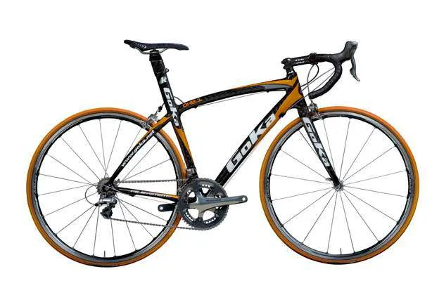 Historia de la Bicicleta Origen de la Bicicleta Celerifero Biciclos Historia de la Bicicleta Origen de la Bicicleta Celerifero Biciclos