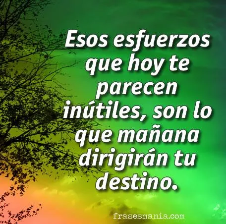 Frases sobre el medio ambiente con imagenes - Imagui Frases sobre el medio ambiente con imagenes - Imagui