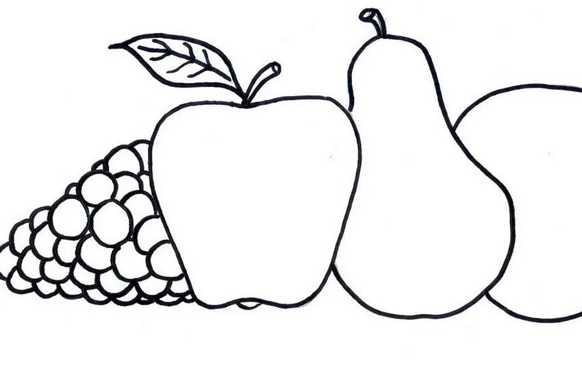 Historia y evolución de la pintura artística : Flores y Frutas Para Colorear Manualidades Para Niños Historia y evolución de la pintura artística : Flores y Frutas Para Colorear Manualidades Para Niños