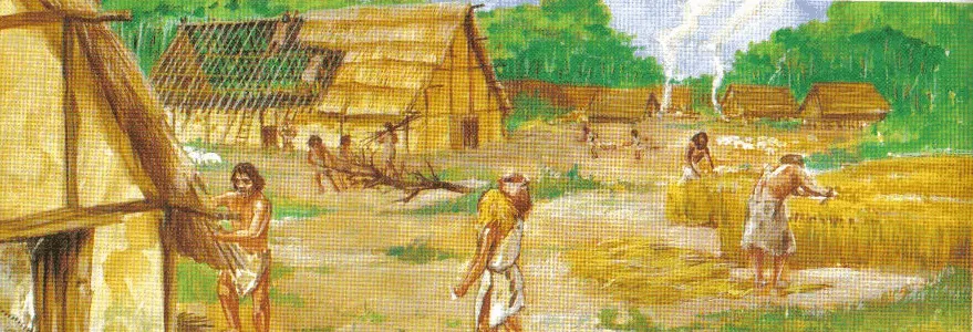 HISTORIA Y GEOGRAFIA NIVEL MEDIO: DOMESTICACION DE PLANTAS Y ANIMALES HISTORIA Y GEOGRAFIA NIVEL MEDIO: DOMESTICACION DE PLANTAS Y ANIMALES
