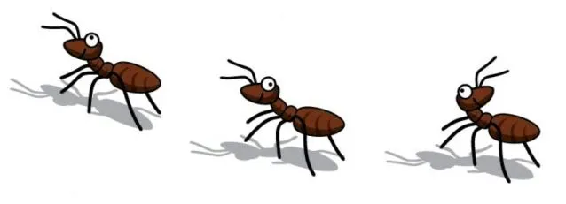 La historia de las hormigas ordenatodo (Orden y responsabilidad ...