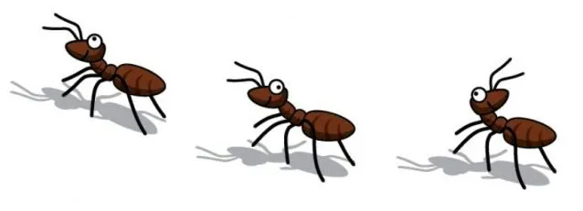 La historia de las hormigas ordenatodo (Orden y responsabilidad ... La historia de las hormigas ordenatodo (Orden y responsabilidad ...