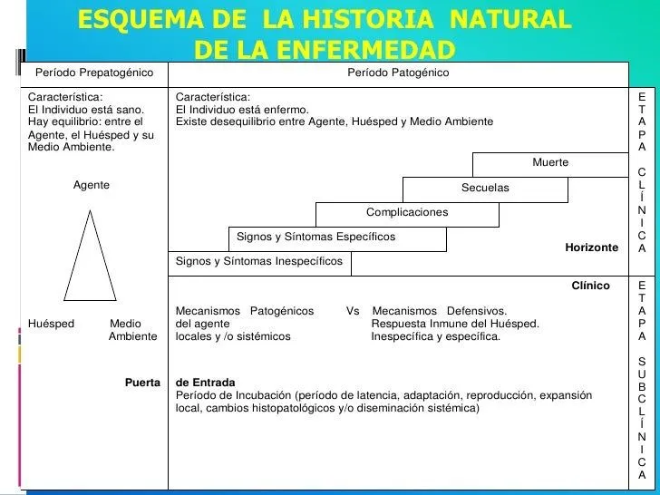 historia-natural-de-la- ...