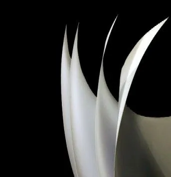 Historia de un papel, en papel. Capítulo I. | DISPARATE