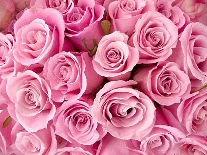 Historia y significado del color: Rosado | Viste la Calle Historia y significado del color: Rosado | Viste la Calle