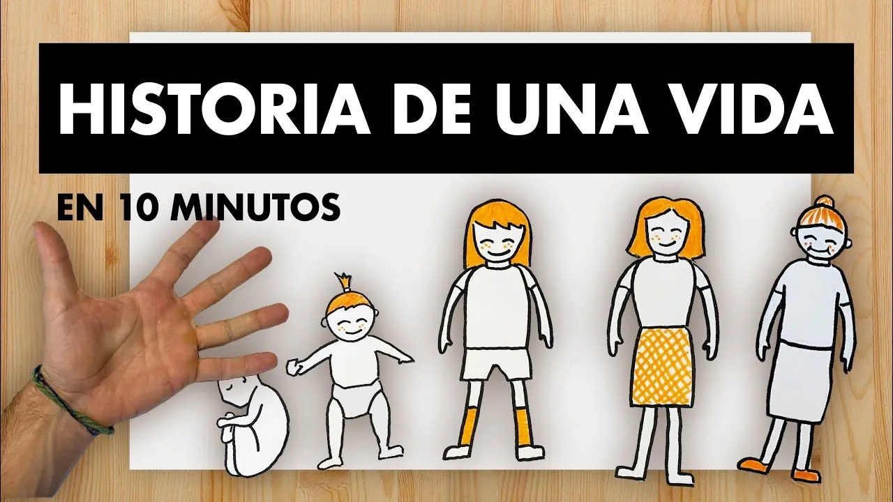 HISTORIA DE UNA VIDA (DESARROLLO HUMANO) EN 10 MINUTOS - YouTube HISTORIA DE UNA VIDA (DESARROLLO HUMANO) EN 10 MINUTOS - YouTube