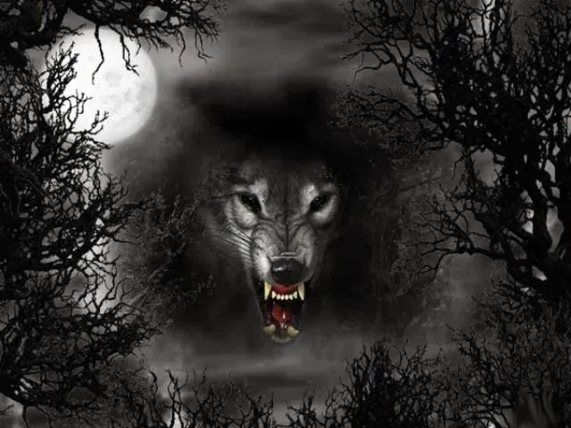 Mis Historias / My personal History: Historias El hombre lobo