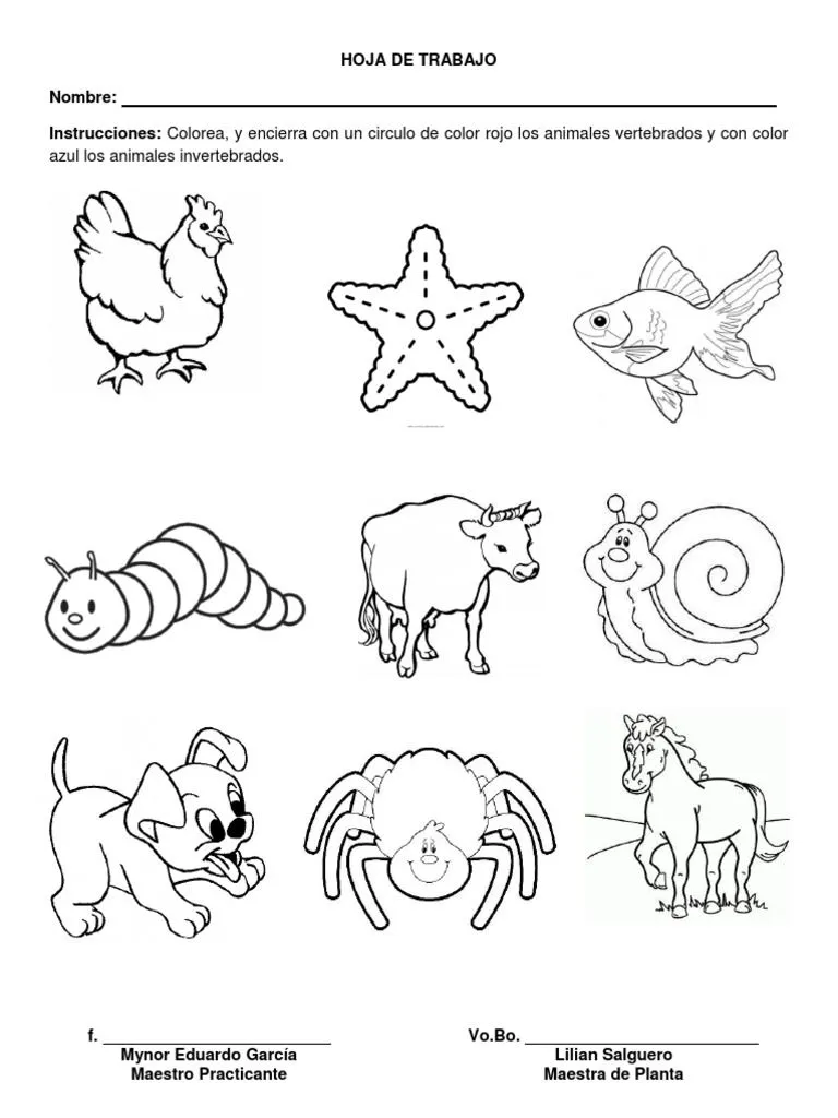 Hoja de Trabajo Animales Vertebrados e Invertebrados | PDF Hoja de Trabajo Animales Vertebrados e Invertebrados | PDF