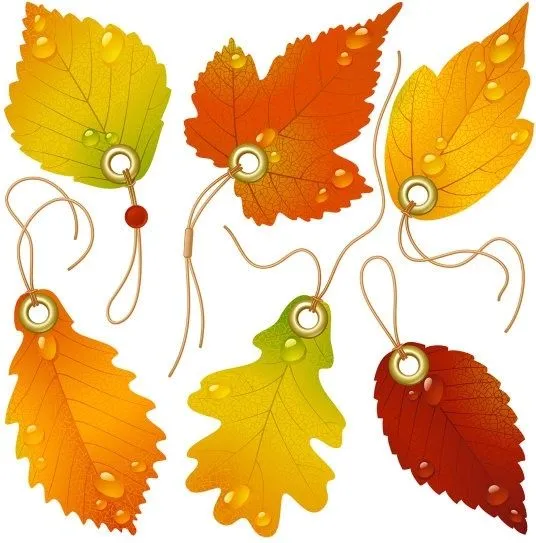 Hoja de arce Vector de imágenes prediseñadas - vectores gratis ... Hoja de arce Vector de imágenes prediseñadas - vectores gratis ...