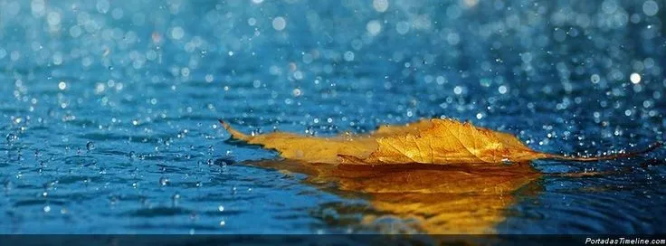 Hoja bajo la lluvia « Portadastimeline.com | cover fb | Pinterest ...