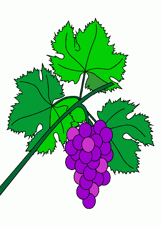 hoja de parra y para colorear, hoja de parra y para imprimir hoja de parra y para colorear, hoja de parra y para imprimir