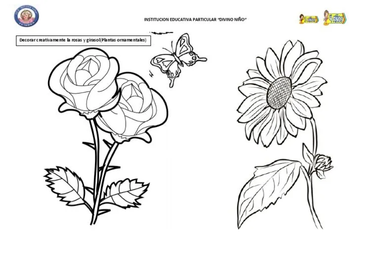 Hoja de Trabajo Plantas Ornamentales | PDF