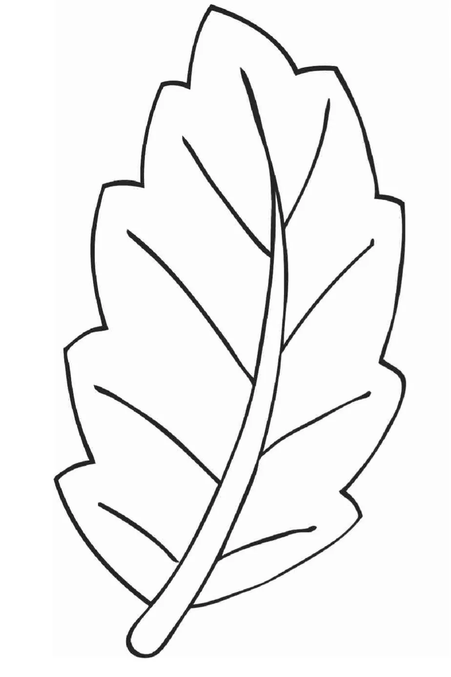 hoja2.jpg