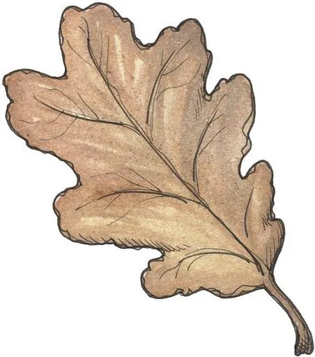 Hojas de arbol para imprimir:Imagenes y dibujos para imprimir.Todo ... Hojas de arbol para imprimir:Imagenes y dibujos para imprimir.Todo ...