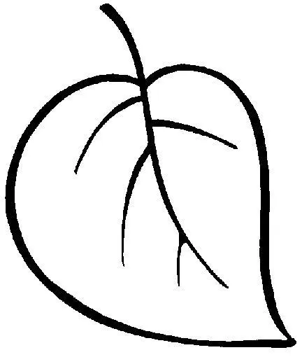 Hojas de arboles para dibujar - Imagui