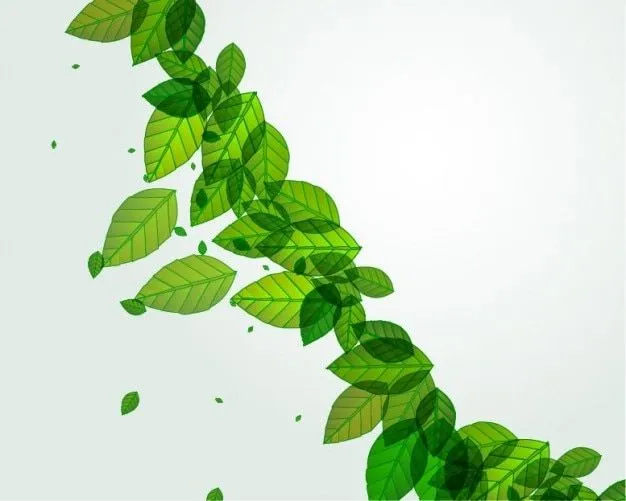 de hojas frescas de color verde de fondo vector | Descargar ...