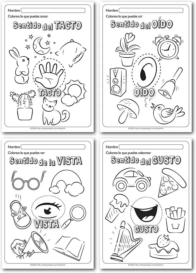 Hojas para Identificar los Cinco Sentidos