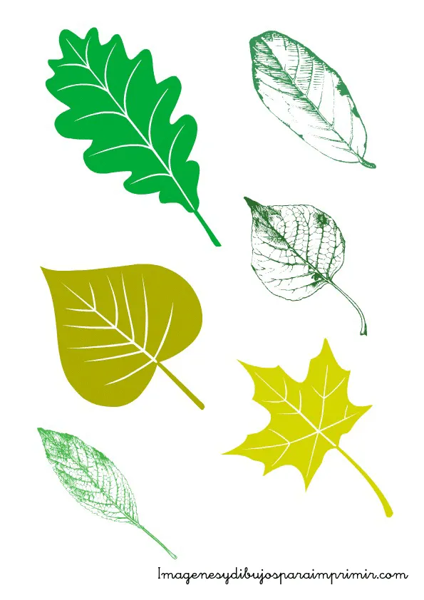 Hojas para imprimir y recortar-Colorear dibujos,letras, Actividades infantiles Hojas para imprimir y recortar-Colorear dibujos,letras, Actividades infantiles