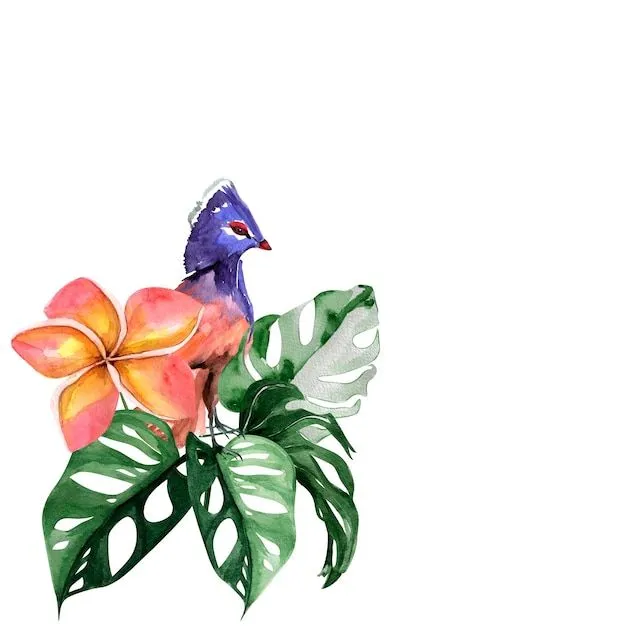 Hojas de monstera tropical y plantilla de marco de fondo de ave del paraíso para decorar diseños e ilustraciones | Foto Premium