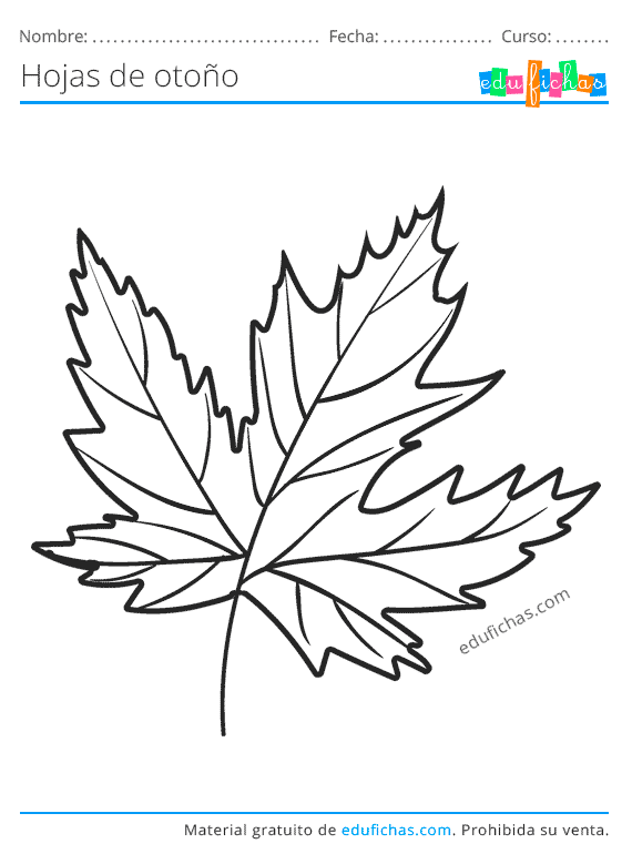 Hojas de Otoño para Colorear. Descargar Dibujos para Pintar (PDF) Hojas de Otoño para Colorear. Descargar Dibujos para Pintar (PDF)