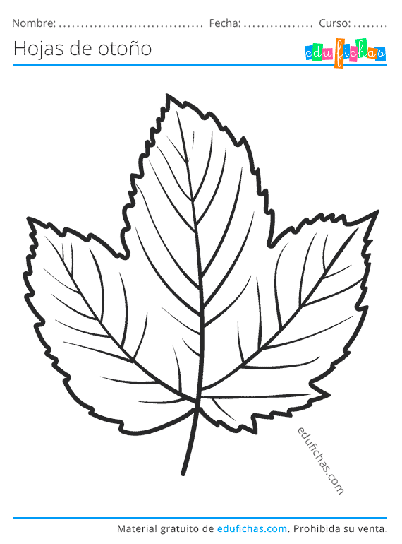 Hojas de Otoño para Colorear. Descargar Dibujos para Pintar (PDF)