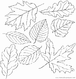 Hojas de otoño para colorear e imprimir - Imagui Hojas de otoño para colorear e imprimir - Imagui