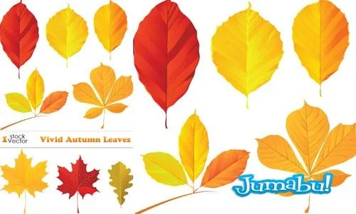 Hojas Otoño en Vectores | Muchos Recursos Diseño Gráfico!