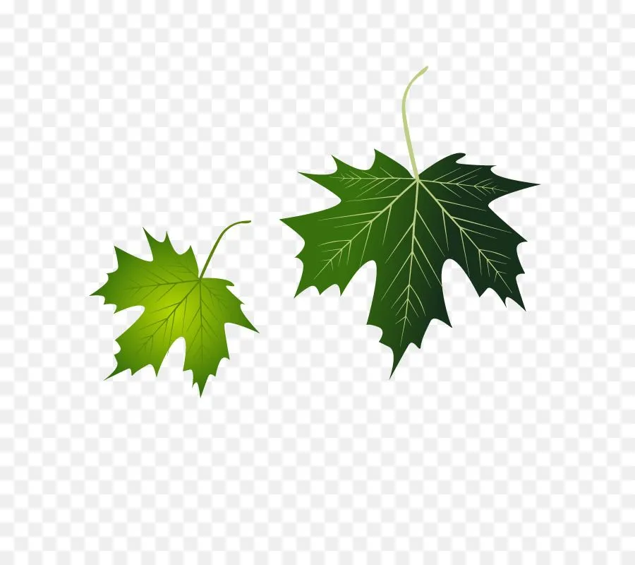 Hojas De Parra, Hoja, Uva imagen png - imagen transparente descarga gratuita Hojas De Parra, Hoja, Uva imagen png - imagen transparente descarga gratuita
