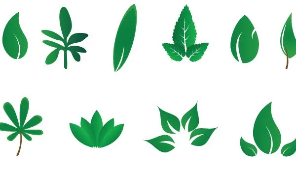 Hojas Verdes | Vectores Gratis