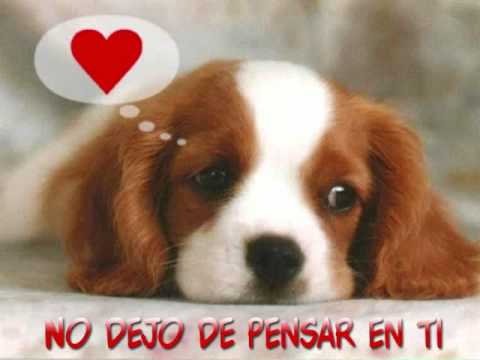 hola mi amor gerardo lopez.wmv - YouTube