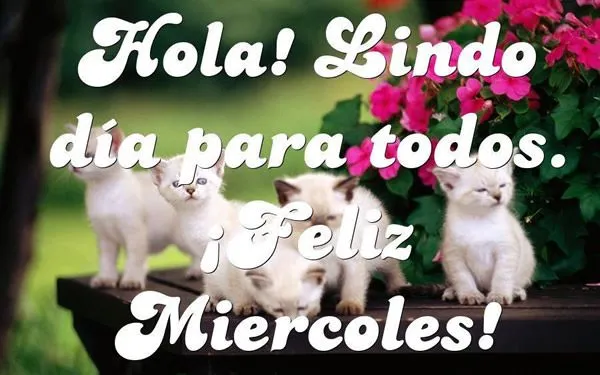 Hola! Lindo día para todos ¡Feliz Miércoles! imagen #5833