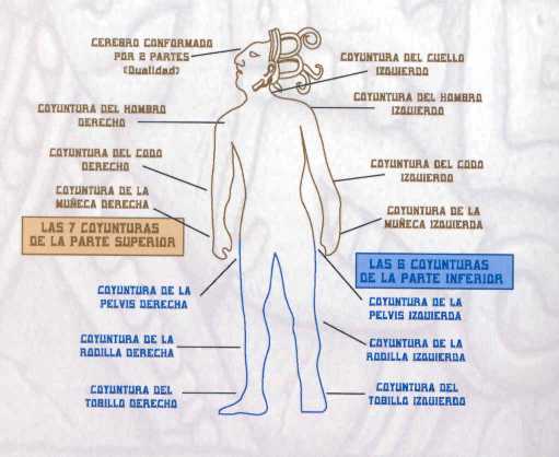 Articulaciones del cuerpo humano imagenes - Imagui