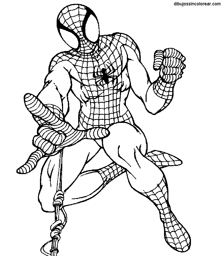Hombre araña para pintar 2 - Imagui