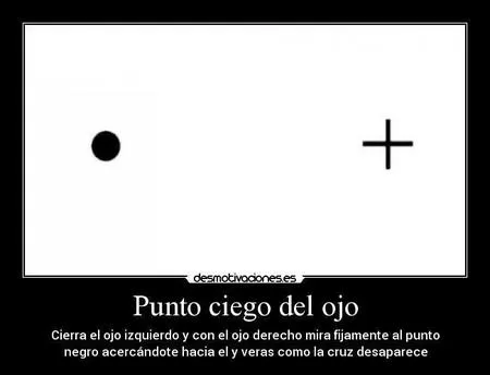 El hombre que descubrió que teníamos un punto ciego en los ojos El hombre que descubrió que teníamos un punto ciego en los ojos