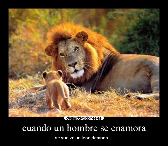 cuando un hombre se enamora | Desmotivaciones