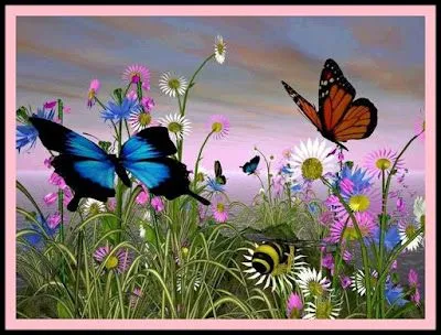 Un hombre encontró un capullo de mariposa, lo cogió con mucho ... Un hombre encontró un capullo de mariposa, lo cogió con mucho ...