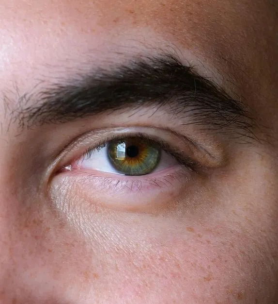 Hombre guapo macro ojos verdes detalle tiro ceja pupila pecas | Foto Premium Hombre guapo macro ojos verdes detalle tiro ceja pupila pecas | Foto Premium
