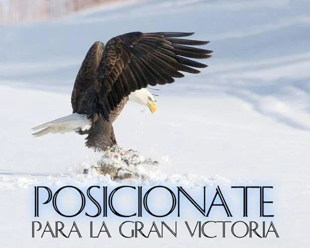 Hombre y mujer debemos de renovarnos, como lo hace el aguila ... Hombre y mujer debemos de renovarnos, como lo hace el aguila ...