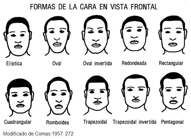 Hacia el hombre (página 4) - Monografias.com