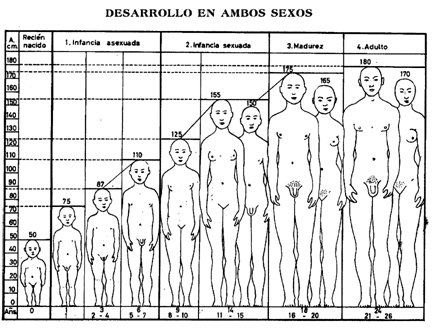 Hacia el hombre | Plusformación