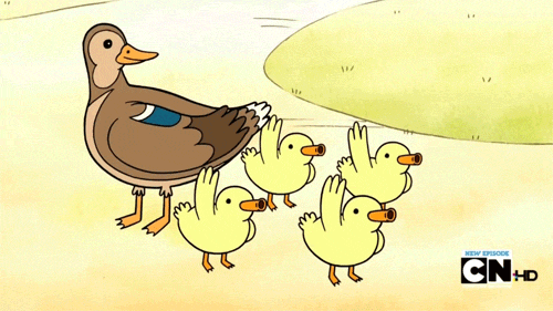 Este hombre salvó la vida de un patito gracias a su épica - Taringa! Este hombre salvó la vida de un patito gracias a su épica - Taringa!