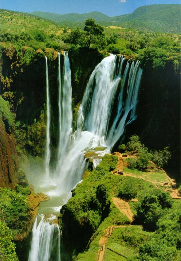 El hombre de los sueños.: Reflexion