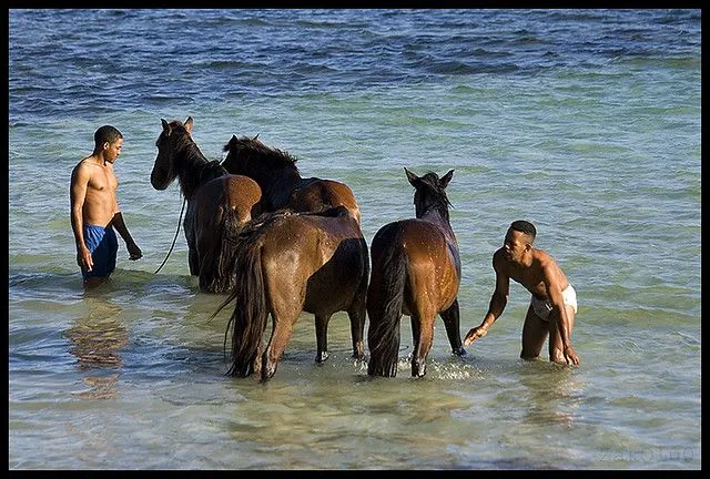 hombres y cavallos | Flickr - Photo Sharing!