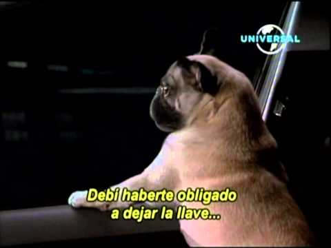 HOMBRES DE NEGRO 2 FRANK CANTANDO - YouTube HOMBRES DE NEGRO 2 FRANK CANTANDO - YouTube