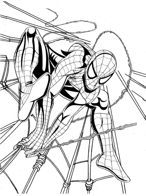 Homem aranha - Desenhos Aprender Ensinar para Colorir e Pintar Homem aranha - Desenhos Aprender Ensinar para Colorir e Pintar