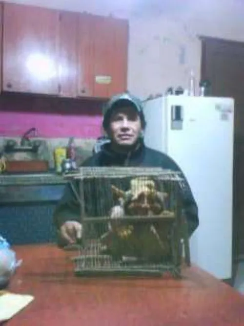 Homem captura duende na Argentina - Metamorfose Digital Homem captura duende na Argentina - Metamorfose Digital