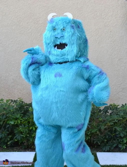 Homemade Sully Costume - Photo 2/