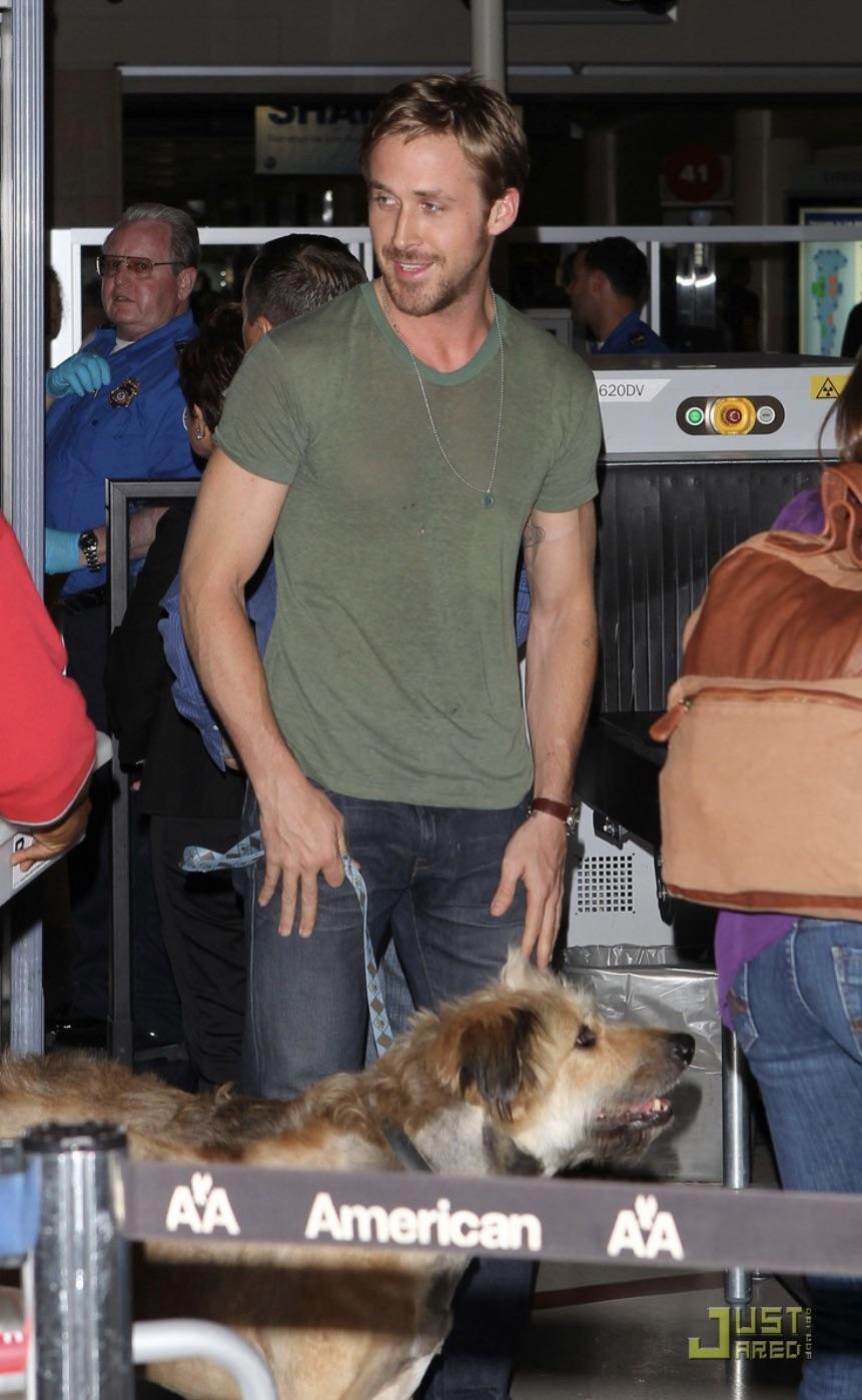 Un homenaje a mi historia de amor favorita de Hollywood: Ryan Gosling,  George y el mohicano de George : r/popculturechat