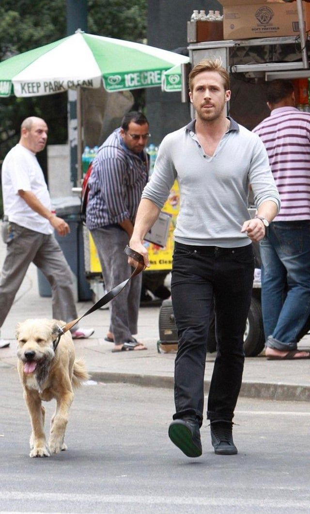 Un homenaje a mi historia de amor favorita de Hollywood: Ryan Gosling,  George y el mohicano de George : r/popculturechat